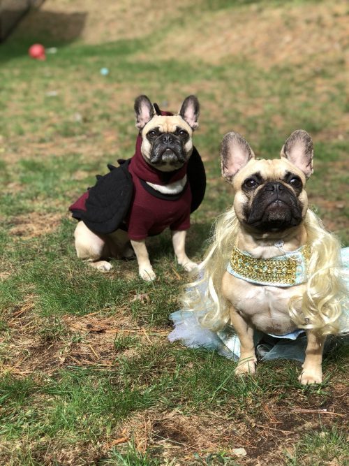 Daenerys Targaryen and Drogon