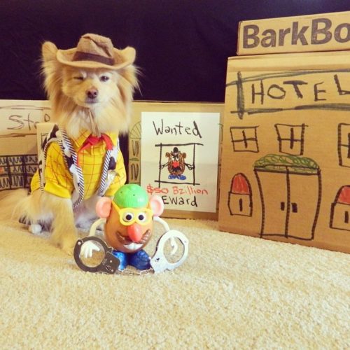 Toy Story