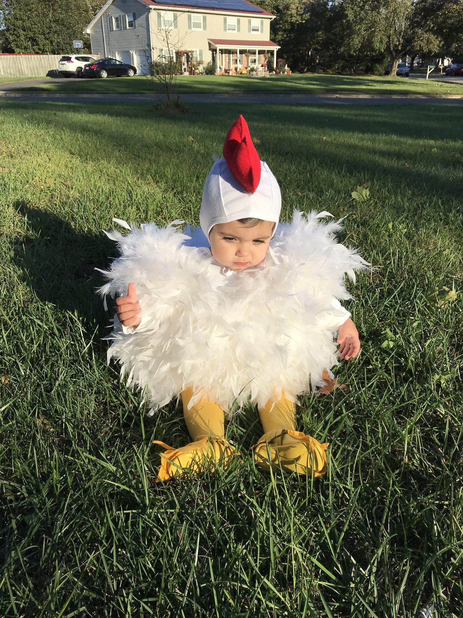 chicken halloween costume for baby
