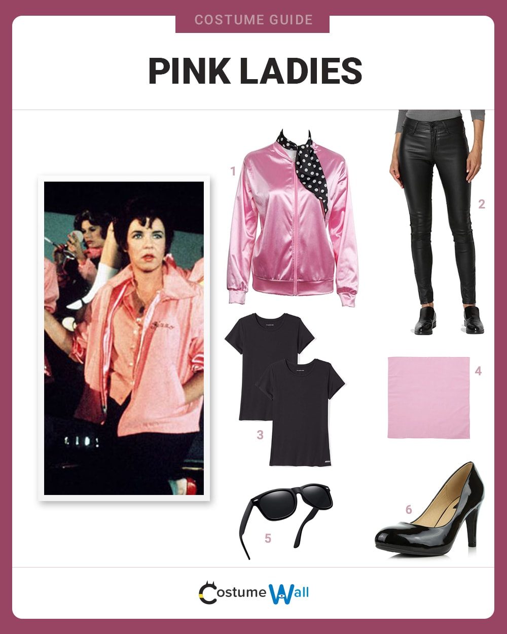 Pink Ladies Costume Guide