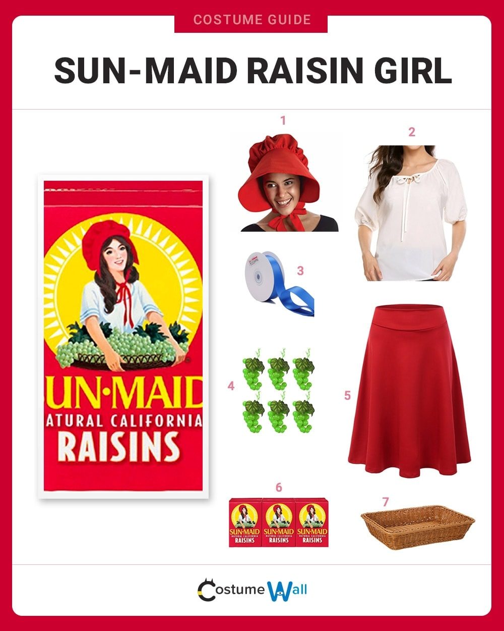Sun-Maid Raisin Girl Costume Guide