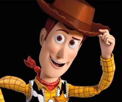 Woody Toy Story Costume