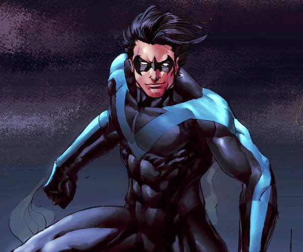 Nightwing costume inspiration