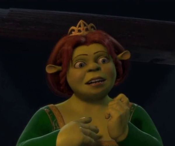 Shrek Princess Fiona