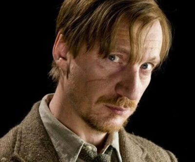 Remus Lupin Costume