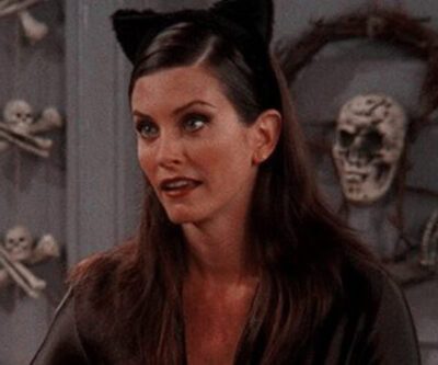 Monica Geller (Catwoman) Costume