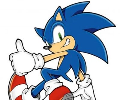 Sonic the Hedgehog Costume