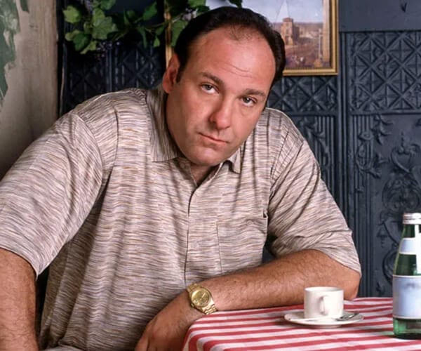 Tony Soprano Costume