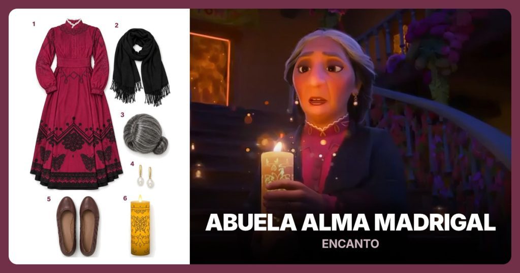 Plum embroidered Abuela Alma costume dress, Plain black fringed pashmina wrap and Silver-gray low-bun costume wig beside Abuela Alma Madrigal
