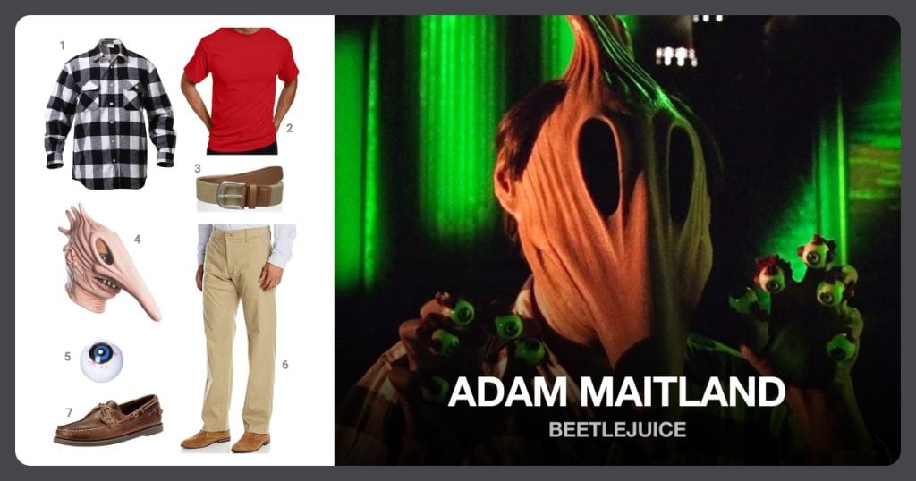 Plaid Flannel Shirt, Classic Cotton T-Shirt, Stretch Web Belt and Beetlejuice Adam Mask beside Adam Maitland