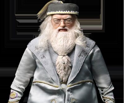 Albus Dumbledore Costume