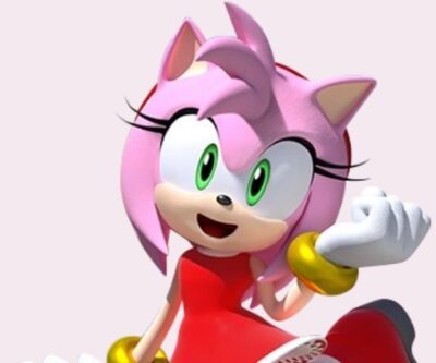 Amy Rose Costume