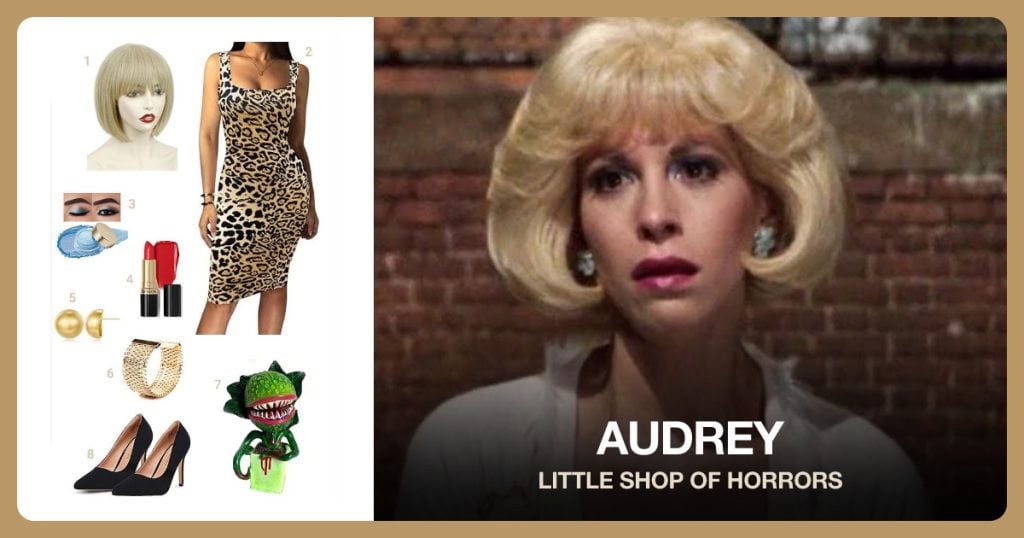 Audrey costume guide with numbered clothing and accessories