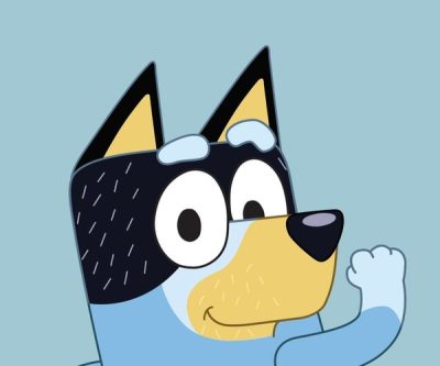 Bandit Heeler Costume