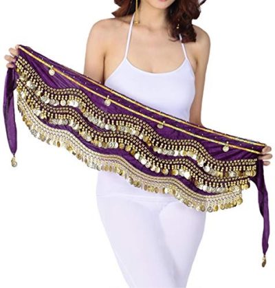 Purple Gold Coin Scarf