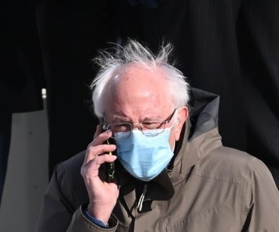 Bernie Sanders costume