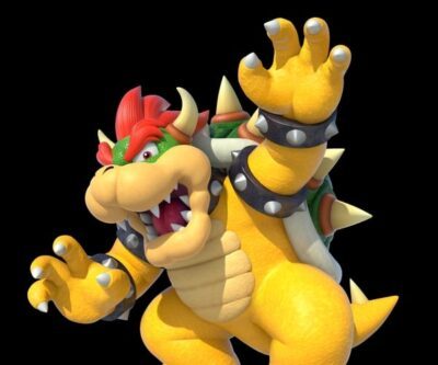 Bowser Costume
