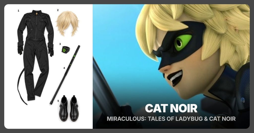 Cat Noir Costume