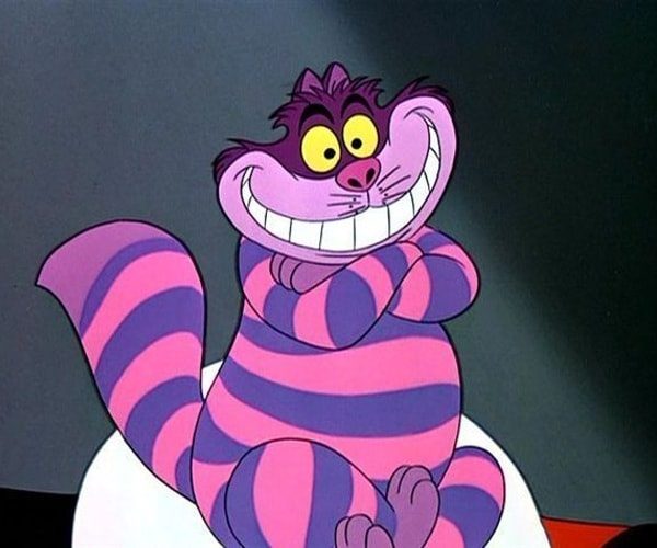 Cheshire Cat Costume