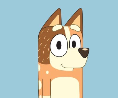 Chilli Heeler Costume