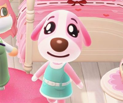 Cookie (Animal Crossing) Costume