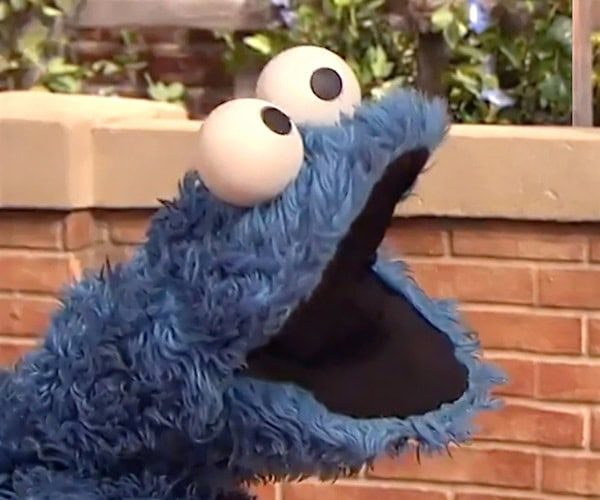 Cookie Monster Costume