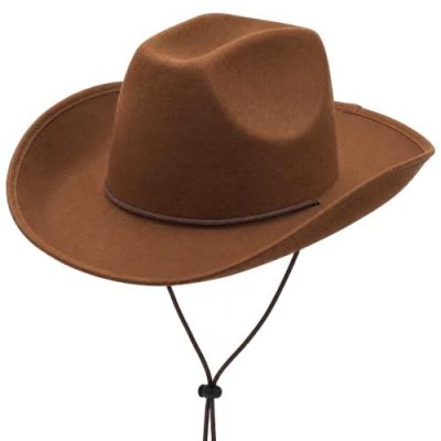 Brown Cowboy Hat