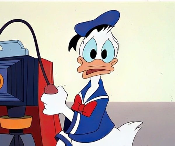 Donald Duck Costume