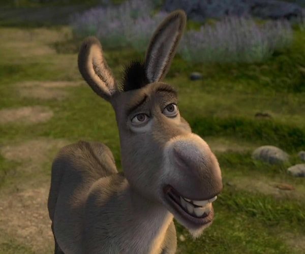 Donkey Costume