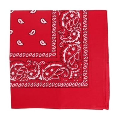 Red Paisley Cotton Bandana