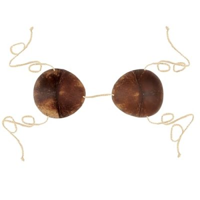 Coconut-Shell Costume Top