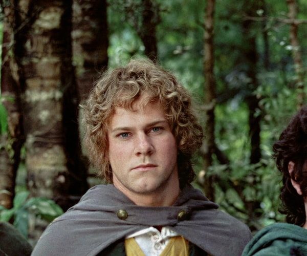 Merry Brandybuck Costume