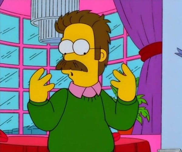 Ned Flanders Costume