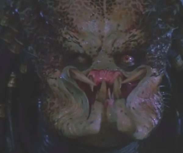 Predator Costume