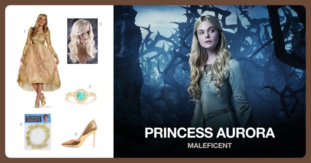 Princess Aurora Costume