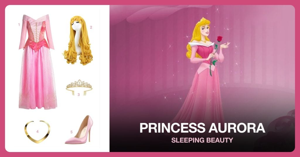 Princess Aurora Costume