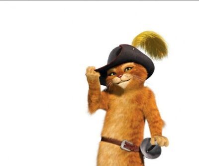 Puss In Boots Costume