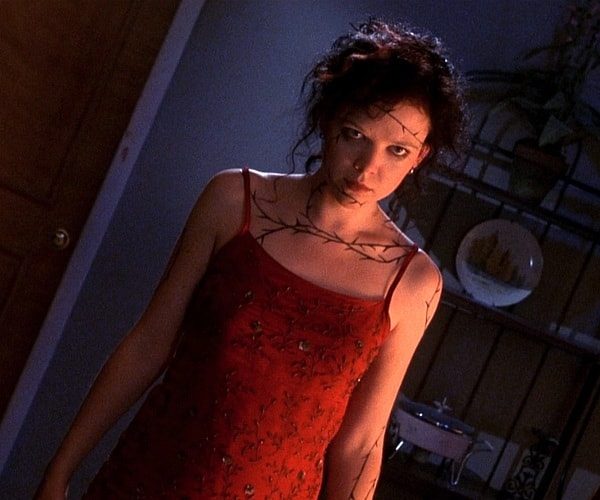 Rachel Lang Costume