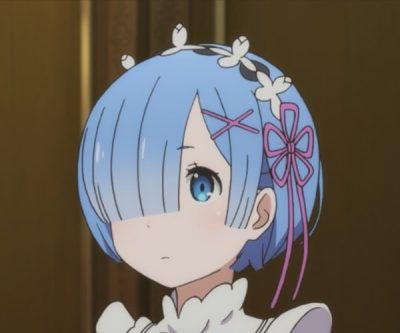 Rem costume