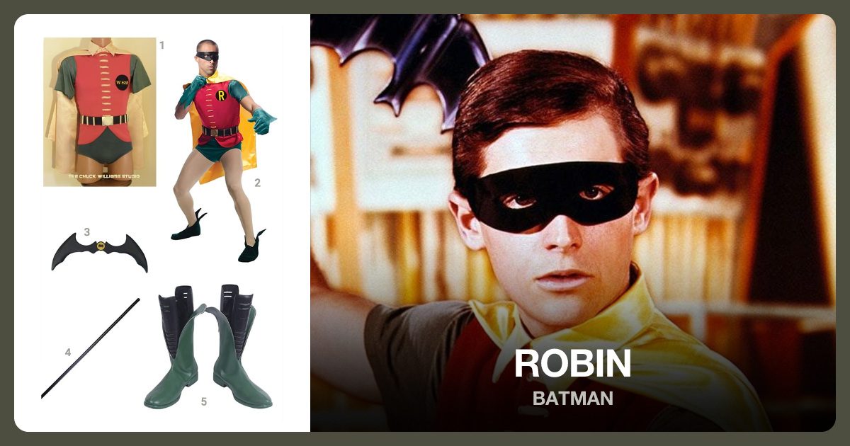 Robin costume outfit and accessories