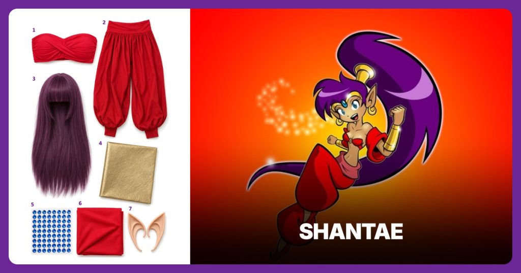 Red Twist Bandeau Top, Red Harem Pants, Long Purple Wig and Metallic Gold Faux Leather beside Shantae
