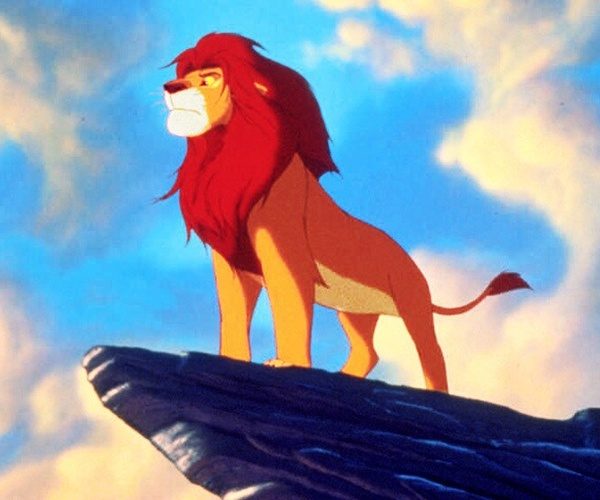 Simba Costume