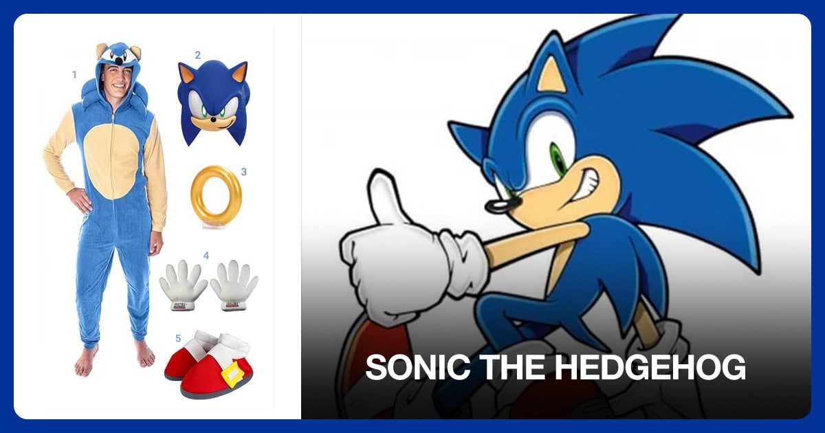 Sonic costume outfit and accessories