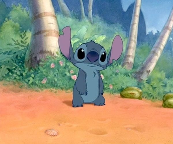 Stitch Costume
