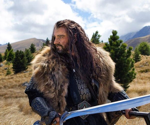 Thorin Oakenshield Costume