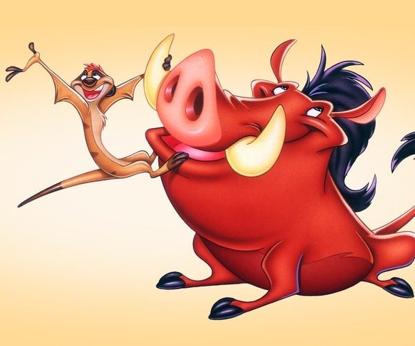 Timon and Pumbaa Costume
