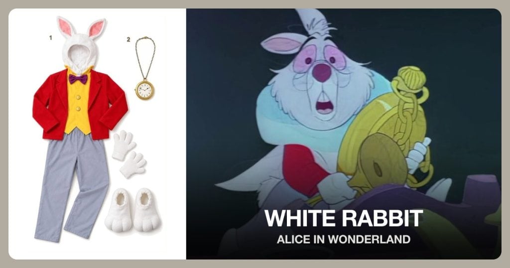 White Rabbit Costume
