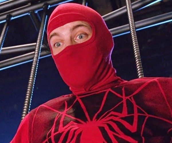 Wrestler Spider-Man Costume