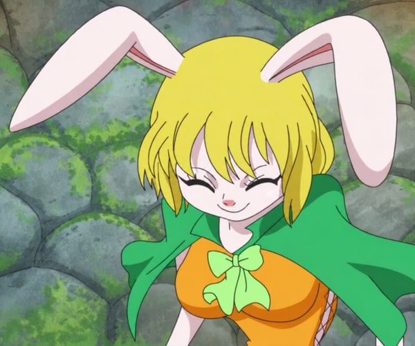 Carrot Costume