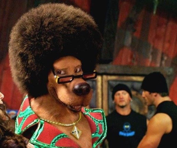 Dress like Disco Scooby Doo